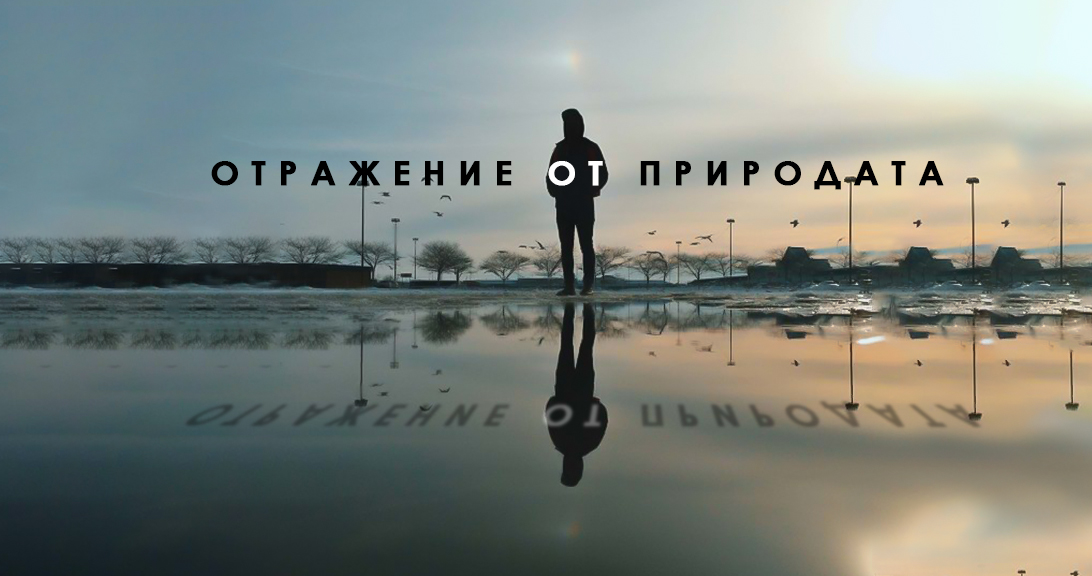 8 Трика за перфектни снимки с телефон