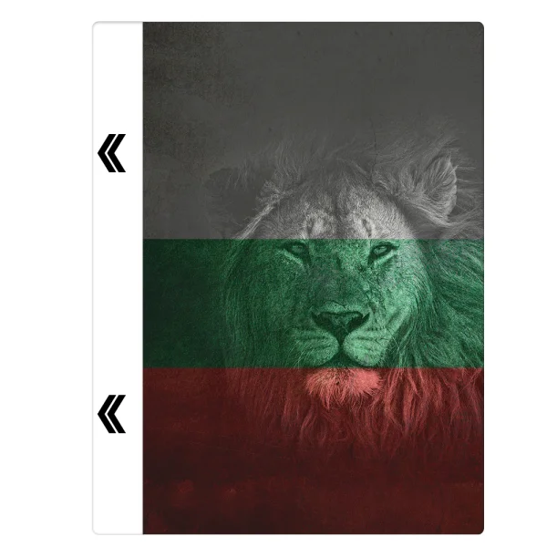 Фолио протектор за гръб на IPhone 11 pro, БГ Лъв 3D 2