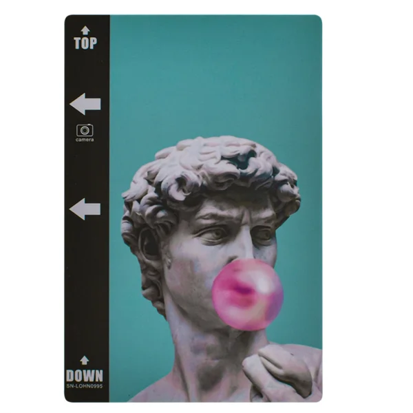 Back Foil Protector for Xiaomi Redmi Note 11 5G, David 2
