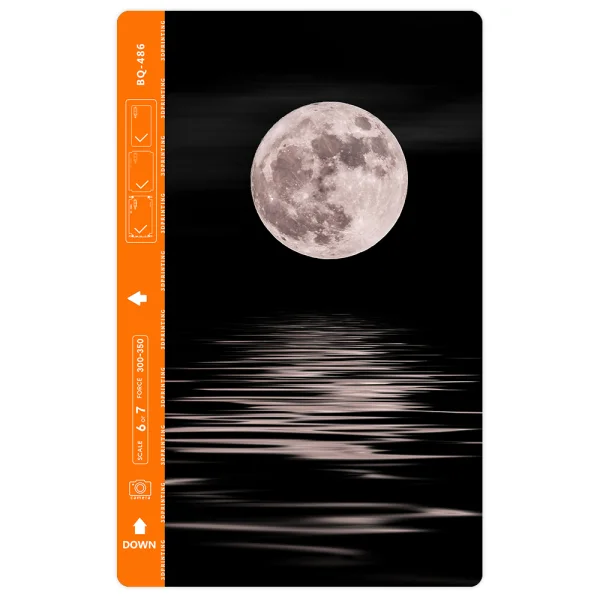 Cut Film Phone Protector (Back), 3D Moonlit Path 3