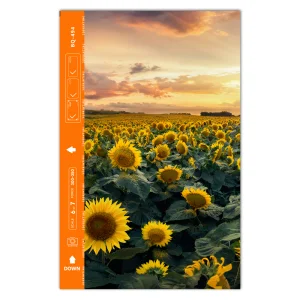 Custom Cut Phone Film Protector (Back), Sunflower 3D 3