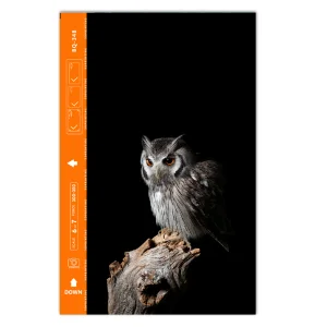 Custom Cut Phone Film Protector (Back), Owl 3D 3