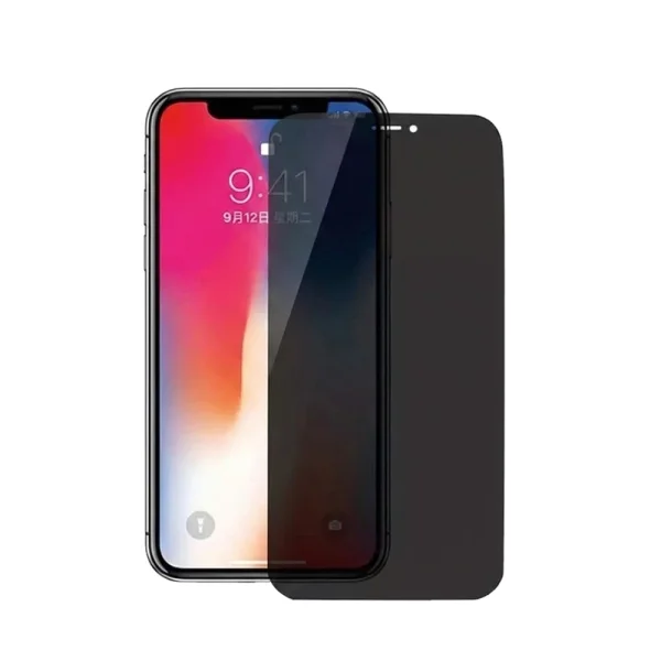 Glass protector 5D Full Glue PRIVACY for iPhone XS Max /11 Pro Max, Black 1