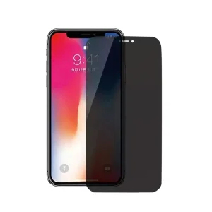 Стъклен протектор 5D Full Glue PRIVACY за iPhone XS Max /11 Pro Max, Черен